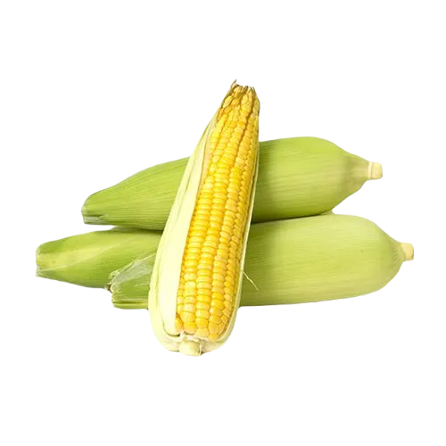 corn yellow