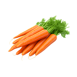 Carrot