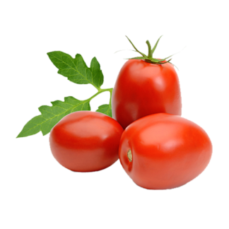 tomatoes Roma Jumbo-Large